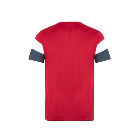 Herren AS-Monaco-Drittes-Vorbereitungstrikot 2025/26