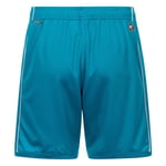 Herren Fiorentina 2025/26 Ausweichshorts