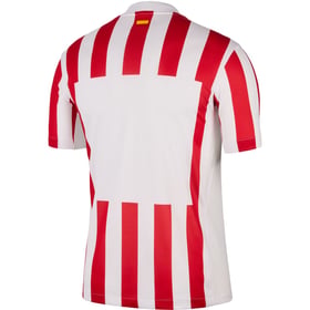Herren Atletico Madrid 2025/26 Heimtrikot