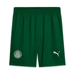 Kinder Palmeiras 2025/26 Auswärtsshorts