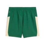 Damen Palmeiras 2025/26 KidSuper Shorts - Grün