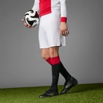 Herren Ajax 125 Jubiläum Shorts