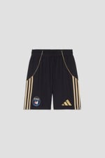 Herren Pisa 2025/26 Heimshorts