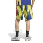 Herren Arsenal 2025/26 Urban Purist Shorts