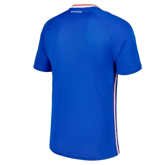 Herren Sunderland 2025/26 Auswärts Trikot ohne Sponsor