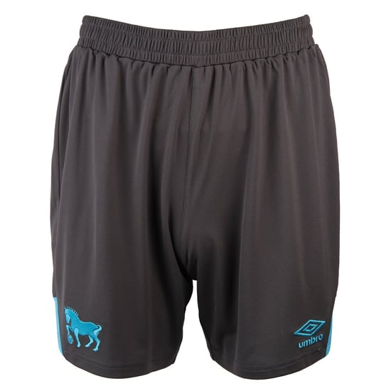 Herren Ipswich Town 2025/26 Dritte Shorts