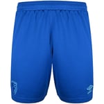 Damen AFC Bournemouth 2025/26 Auswärtsshorts