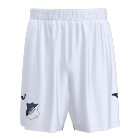 Herren TSG Hoffenheim 2025/26 Ausweichshorts