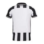 Herren Botafogo 2025/26 Heimtrikot