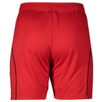 Damen Hamburger SV 2025/26 Heimshorts