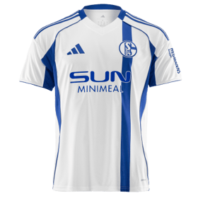 Herren FC Schalke 04 2025/26 Auswärtstrikot