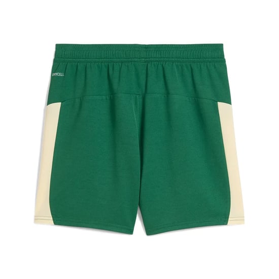 Kinder Palmeiras 2025/26 KidSuper Shorts - Grün