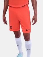 Herren FC Barcelona 2025/26 Dritte Shorts