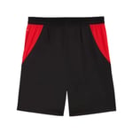 Herren Österreich 2026 Heim-Weltmeisterschaft Shorts