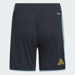 Herren Argentinien 2026 Heim-Weltmeisterschaft Shorts