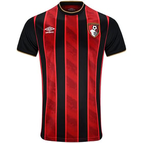 Damen AFC Bournemouth 2025/26 Heimtrikot Ohne Werbung